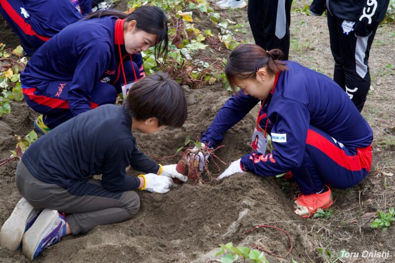 ノジマステラ神奈川相模原